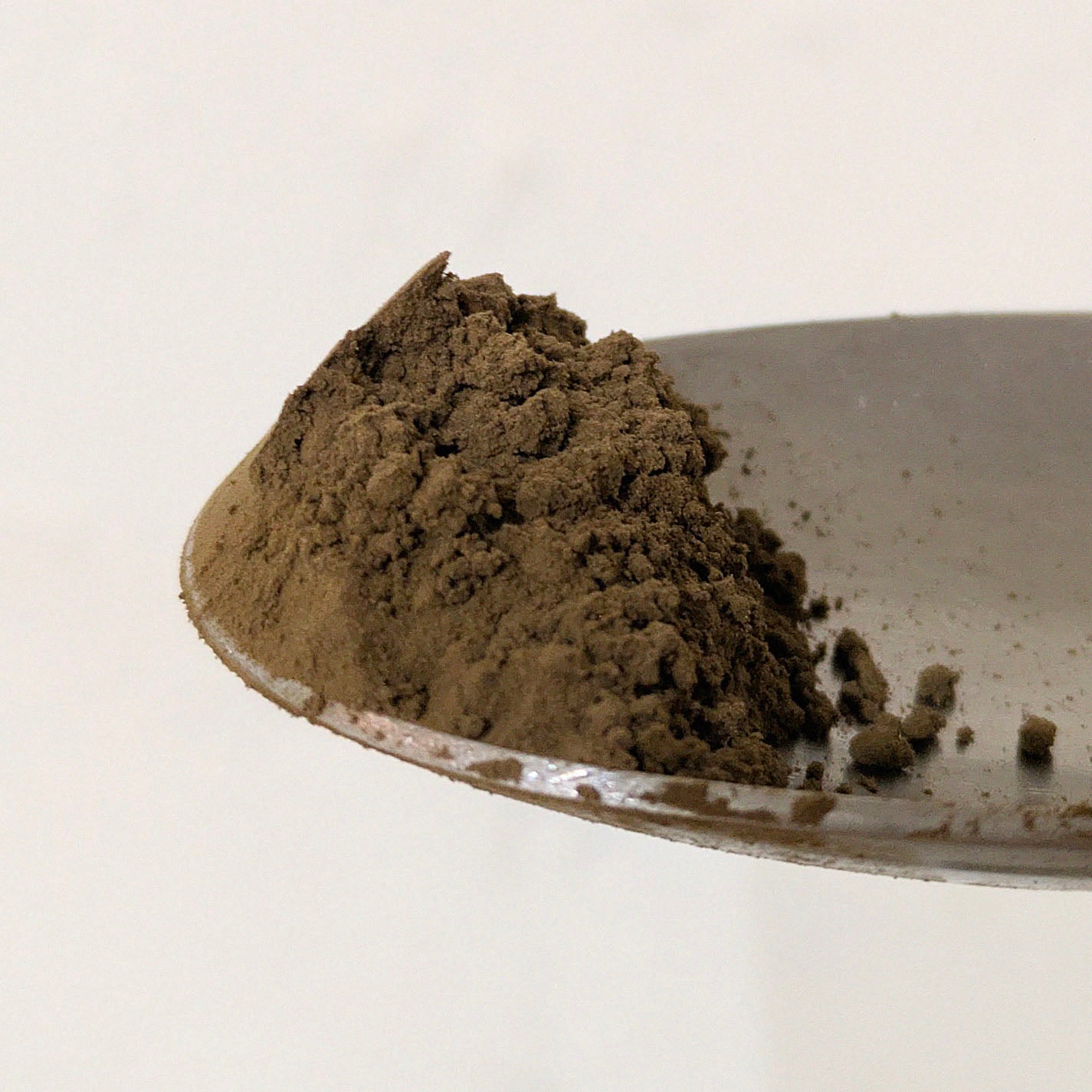 Hojicha Pulver